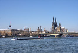 Bernhard Saalfeld - Cologne Blue